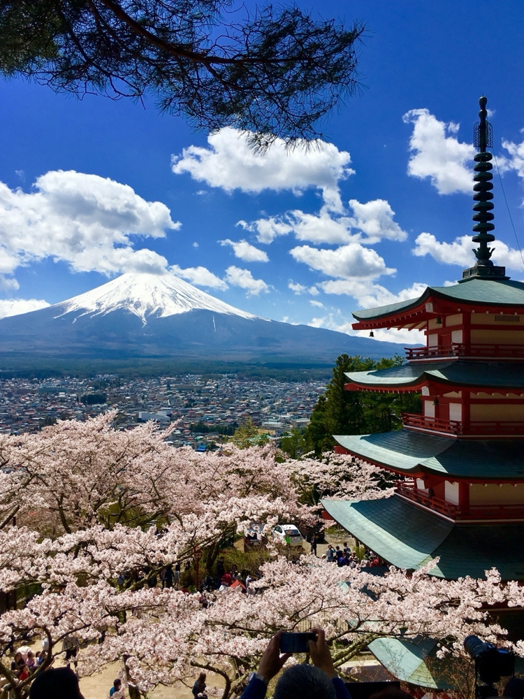 Mt. Fuji and Chureito Pagoda at Arakurayama