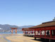 Akino Miyajima Itsukushima Shrine - Hire Car in Japan